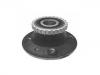 Radnabe Wheel Hub Bearing:77 01 205 499